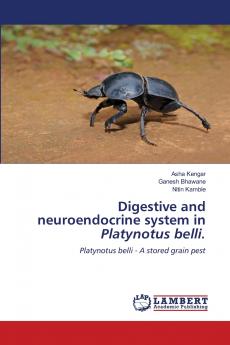 Digestive and neuroendocrine system in Platynotus belli.