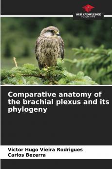 Comparative anatomy of the brachial plexus and its phylogeny