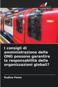 I consigli di amministrazione delle ONG possono garantire la responsabilità delle organizzazioni globali?