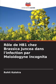 Rôle de HB1 chez Brassica Juncea dans l'infection par Meloidogyne Incognita
