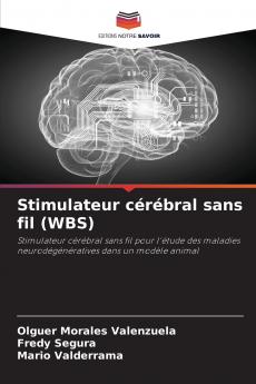Stimulateur cérébral sans fil (WBS)