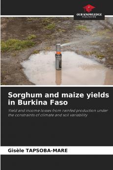 Sorghum and maize yields in Burkina Faso