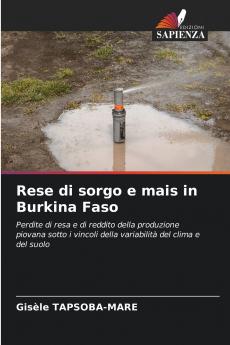 Rese di sorgo e mais in Burkina Faso