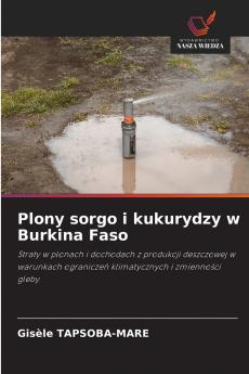 Plony sorgo i kukurydzy w Burkina Faso