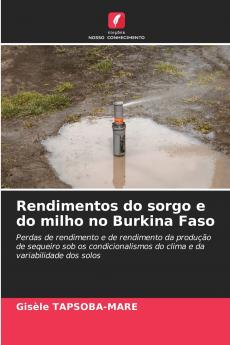 Rendimentos do sorgo e do milho no Burkina Faso