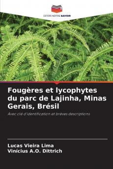 Fougères et lycophytes du parc de Lajinha Minas Gerais Brésil
