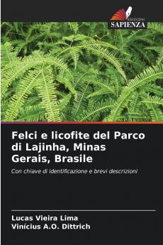 Felci e licofite del Parco di Lajinha Minas Gerais Brasile