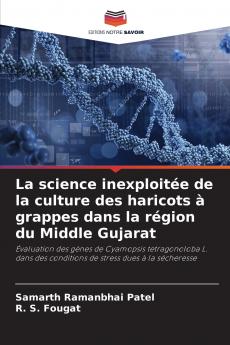 La science inexploitée de la culture des haricots à grappes dans la région du Middle Gujarat