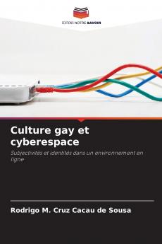 Culture gay et cyberespace