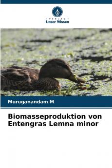 Biomasseproduktion von Entengras Lemna minor