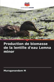Production de biomasse de la lentille d'eau Lemna minor