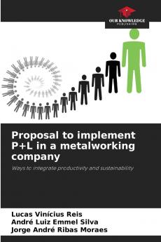 Proposal to implement P+L in a metalworking company