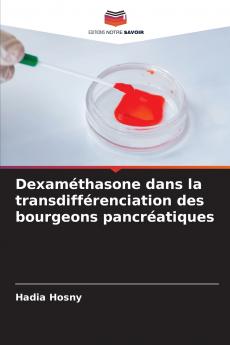 Dexaméthasone dans la transdifférenciation des bourgeons pancréatiques