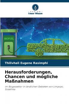 Herausforderungen Chancen und mögliche Maßnahmen