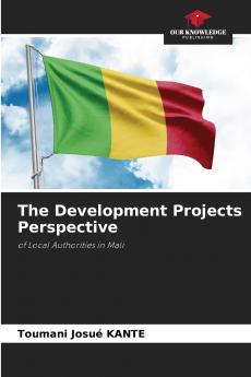 The Development Projects Perspective