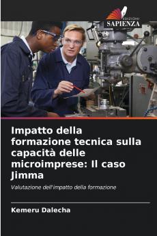Impatto della formazione tecnica sulla capacità delle microimprese