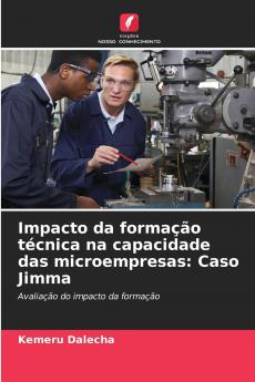 Impacto da formação técnica na capacidade das microempresas