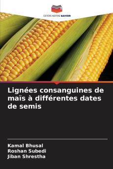 Lignées consanguines de maïs à différentes dates de semis