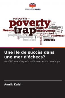 Une île de succès dans une mer d'échecs?