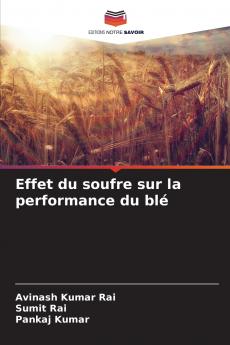 Effet du soufre sur la performance du blé