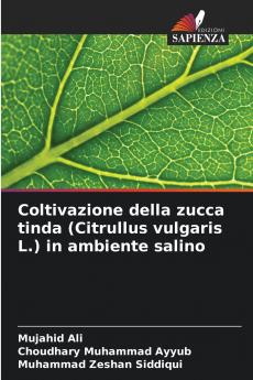 Coltivazione della zucca tinda (Citrullus vulgaris L.) in ambiente salino