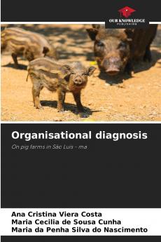 Organisational diagnosis