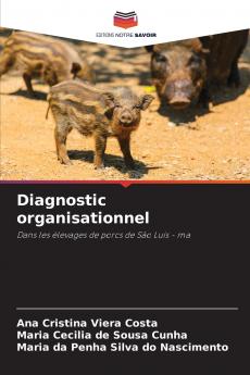 Diagnostic organisationnel