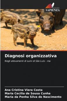 Diagnosi organizzativa