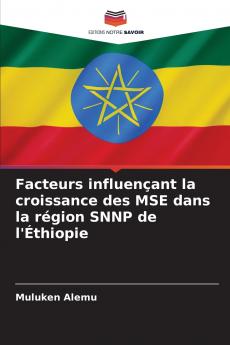 Facteurs influençant la croissance des MSE dans la région SNNP de l'Éthiopie