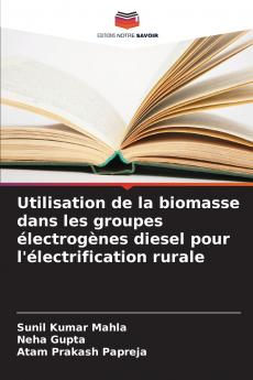 Utilisation de la biomasse dans les groupes électrogènes diesel pour l'électrification rurale