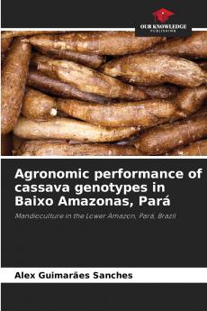 Agronomic performance of cassava genotypes in Baixo Amazonas Pará