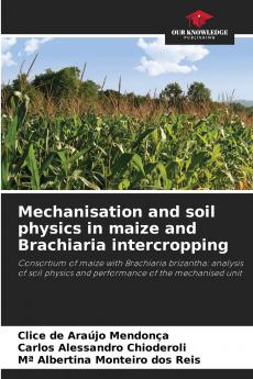 Mechanisation and soil physics in maize and Brachiaria intercropping