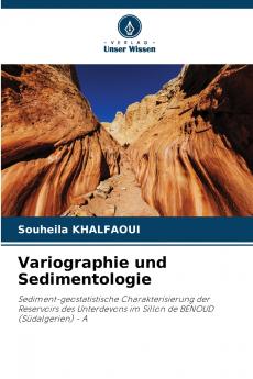 Variographie und Sedimentologie