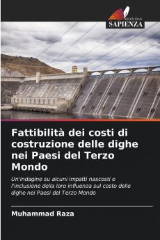 Fattibilità dei costi di costruzione delle dighe nei Paesi del Terzo Mondo