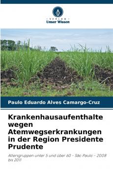Krankenhausaufenthalte wegen Atemwegserkrankungen in der Region Presidente Prudente