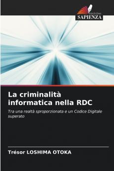 La criminalità informatica nella RDC