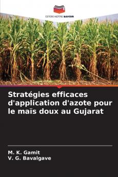 Stratégies efficaces d'application d'azote pour le maïs doux au Gujarat