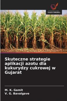 Skuteczne strategie aplikacji azotu dla kukurydzy cukrowej w Gujarat