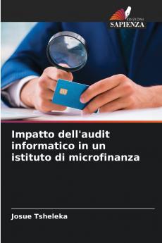 Impatto dell'audit informatico in un istituto di microfinanza