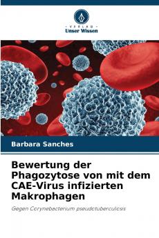 Bewertung der Phagozytose von mit dem CAE-Virus infizierten Makrophagen