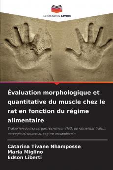 Évaluation morphologique et quantitative du muscle chez le rat en fonction du régime alimentaire
