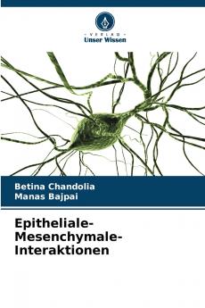 Epitheliale-Mesenchymale-Interaktionen