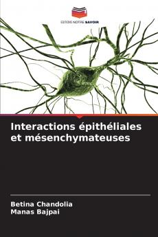 Interactions épithéliales et mésenchymateuses