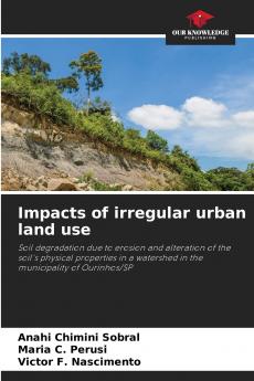 Impacts of irregular urban land use