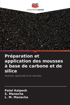 Préparation et application des mousses à base de carbone et de silice