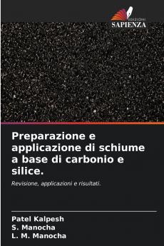 Preparazione e applicazione di schiume a base di carbonio e silice.