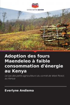 Adoption des fours Maendeleo à faible consommation d'énergie au Kenya