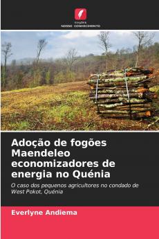 Adoção de fogões Maendeleo economizadores de energia no Quénia