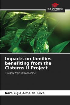 Impacts on families benefiting from the Cisterns II Project