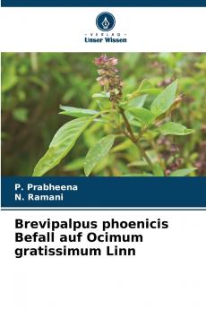 Brevipalpus phoenicis Befall auf Ocimum gratissimum Linn